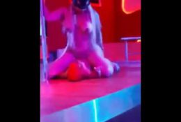 The wildest live sex show you will ever see!
