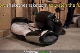 Shake The Snake – Hardcore Bareback Anal & Squirting Pussies
