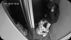 Hidden Camera – Wife sucks postman while her husband is asleep
